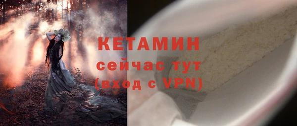 стафф Новозыбков
