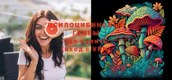 apvp Няндома