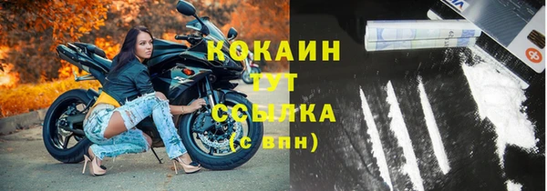 стафф Новозыбков