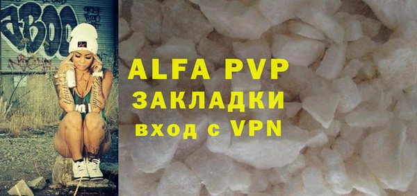 стафф Новозыбков