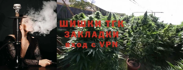 apvp Няндома