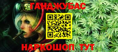 дмт Кингисепп