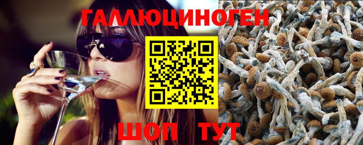 Галлюциногенные грибы ЛСД  Вход с VPN  магазин продажи   Лениногорск 